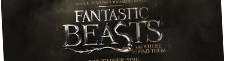 instal Fantastic Beasts and Where to Find Them free